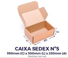 Caixa Papelo Press Kit